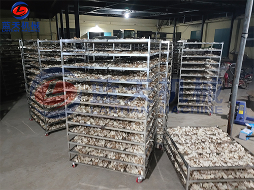 河北容城山藥烘干機烘干現場